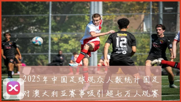 2025年中国足球观众人数统计国足对澳大利亚赛事吸引超七万人观赛