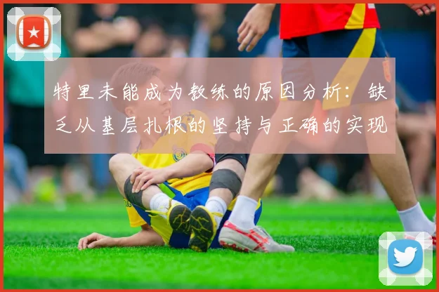 特里未能成为教练的原因分析：缺乏从基层扎根的坚持与正确的实现方式