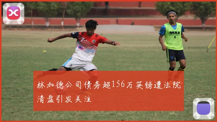 林加德公司债务超156万英镑遭法院清盘引发关注