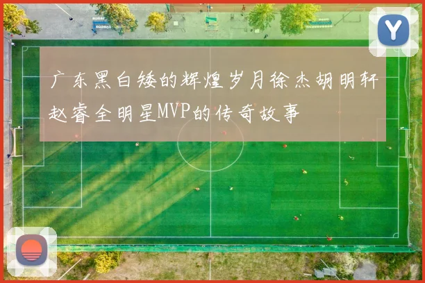 广东黑白矮的辉煌岁月徐杰胡明轩赵睿全明星MVP的传奇故事